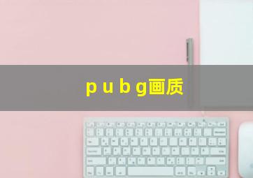 p u b g画质